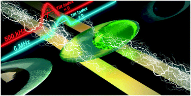 Graphical abstract: Dual-frequency impedance assays for intracellular components in microalgal cells