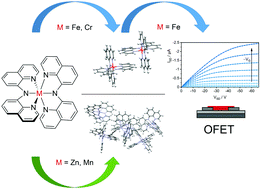 Graphical abstract: New π-stacking motifs for molecular semiconducting materials: bis(bis(8-quinolinyl)amide)metal(ii) complexes of Cr, Mn, Fe, and Zn