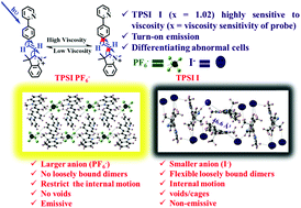 Graphical abstract: Engineering a light-driven cyanine based molecular rotor to enhance the sensitivity towards a viscous medium