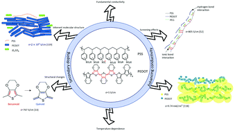 Graphical abstract: Mechanisms for doped PEDOT:PSS electrical conductivity improvement