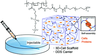 Graphical abstract: Injectable hydrogels self-assembled from oligopeptide-poly(2-methacryloyloxyethyl phosphorylcholine) hybrid graft copolymers for cell scaffolds and controlled release applications