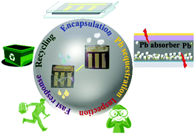 Graphical abstract: Pb in halide perovskites for photovoltaics: reasons for optimism