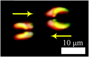 Graphical abstract: Electrically driven formation and dynamics of swallow-tail solitons in smectic A liquid crystals