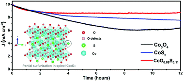 Graphical abstract: Enriching surface oxygen vacancies of spinel Co3O4 to boost H2O adsorption for HER in alkaline media