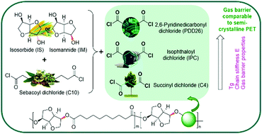 Graphical abstract: Bio-based copolyesters involving 1,4:3,6-dianhydrohexitols and sebacic acid: 2,6-pyridinedicarboxylic acid as platforms for high gas barrier food packaging