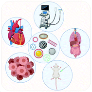 Graphical abstract: Recent trends of contrast agents in ultrasound imaging: a review of the classifications and applications