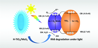 Graphical abstract: Preparation of heterostructured TiO2/MoS2 for efficient photocatalytic rhodamine B degradation