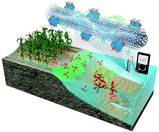 Graphical abstract: Highly sensitive detection of phosphate using well-ordered crystalline cobalt oxide nanoparticles supported by multi-walled carbon nanotubes