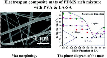 Graphical abstract: Altered phase behavior of the lauric acid–stearic acid binary mixtures in electrospun PVA–PDMS mats