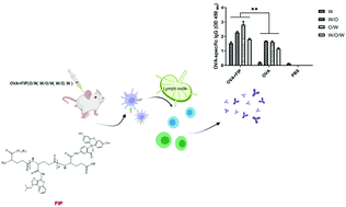 Graphical abstract: Vaccine adjuvant platform and fluorescence imaging of amphiphilic γ-PGA-IMQ-LA-FL conjugates