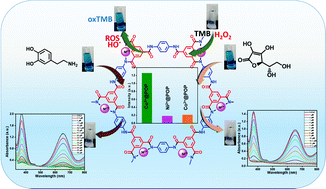 Graphical abstract: Transition metal ion-coordinated porous organic polymer to enhance the peroxidase mimic activity for detection of ascorbic acid and dopamine