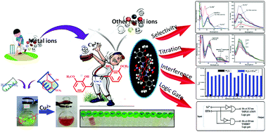 Graphical abstract: A fluorescent colorimetric vanillin di-Schiff base chemosensor for detection of Cu(ii) and isolation of trinuclear Cu(ii)–dihydrazide