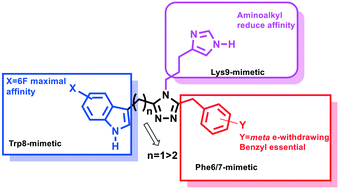 Graphical abstract: Synthesis and structure–activity relationships of 3,4,5-trisubstituted-1,2,4-triazoles: high affinity and selective somatostatin receptor-4 agonists for Alzheimer's disease treatment