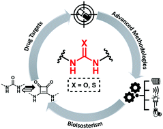 Graphical abstract: Recent advances in urea- and thiourea-containing compounds: focus on innovative approaches in medicinal chemistry and organic synthesis