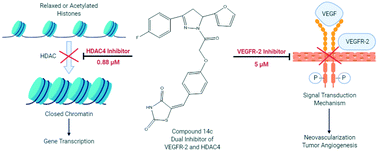 Graphical abstract: Multi-target weapons: diaryl-pyrazoline thiazolidinediones simultaneously targeting VEGFR-2 and HDAC cancer hallmarks