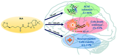 Graphical abstract: Boron-based hybrids as novel scaffolds for the development of drugs with neuroprotective properties