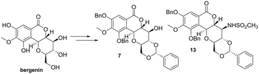 Graphical abstract: Synthesis and biological evaluation of bergenin derivatives as new immunosuppressants