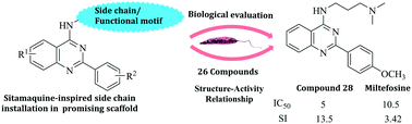 Graphical abstract: Identification of 2-arylquinazolines with alkyl-polyamine motifs as potent antileishmanial agents: synthesis and biological evaluation studies