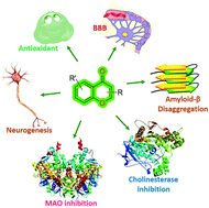 Graphical abstract: Recent advancements in chromone as a privileged scaffold towards the development of small molecules for neurodegenerative therapeutics