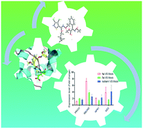 Graphical abstract: Synthesis of potent antifungal 3,4-dichloroisothiazole-based strobilurins with both direct fungicidal activity and systemic acquired resistance