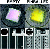 Graphical abstract: Understanding hierarchical spheres-in-grating assembly for bio-inspired colouration