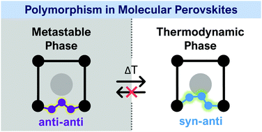 Graphical abstract: Tilt and shift polymorphism in molecular perovskites