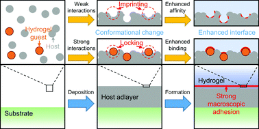 Graphical abstract: Imparting conformational memory for material adhesion