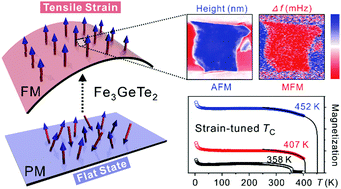 Graphical abstract: Polymer-buried van der Waals magnets for promising wearable room-temperature spintronics