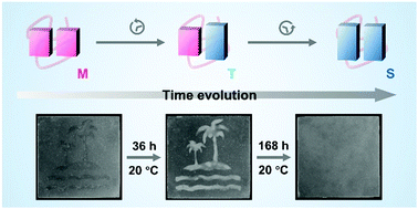 Graphical abstract: Self-evolving materials based on metastable-to-stable crystal transition of a polymorphic polyolefin