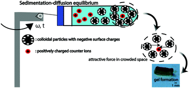 Graphical abstract: Self-association and gel formation during sedimentation of like-charged colloids