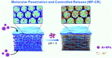 Graphical abstract: Modular penetration and controlled release (MP-CR): improving the internal modification of natural hierarchical materials with smart nanoparticles