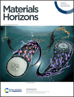 Graphical abstract: Front cover