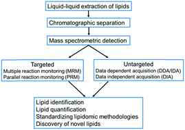 Graphical abstract: The state of the art in plant lipidomics