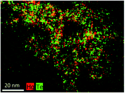 Graphical abstract: Synthesis of IR-emitting HgTe quantum dots using an ionic liquid-based tellurium precursor