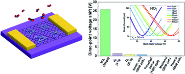 Graphical abstract: Electrical detection of ppb region NO2 using Mg-porphyrin-modified graphene field-effect transistors