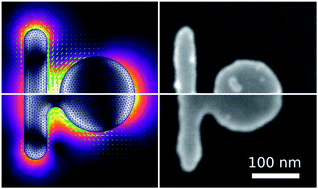 Graphical abstract: Strong and weak polarization-dependent interactions in connected and disconnected plasmonic nanostructures