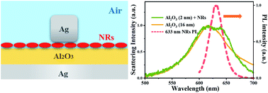 Graphical abstract: Plasmon enhanced light–matter interaction of rice-like nanorods by a cube-plate nanocavity