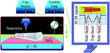 Graphical abstract: Assessing the electrical activity of individual ZnO nanowires thermally annealed in air