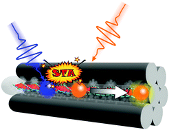 Graphical abstract: All-optical manipulation of singlet exciton transport in individual supramolecular nanostructures by triplet gating