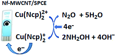 Graphical abstract: Flow injection amperometric sensing of hydroxylamine at a Cu(ii)–neocuproine-functionalized multiwalled carbon nanotube/screen printed carbon electrode