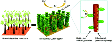 Graphical abstract: A branch-leaf-like hierarchical self-supporting electrode as a highly efficient catalyst for hydrogen evolution