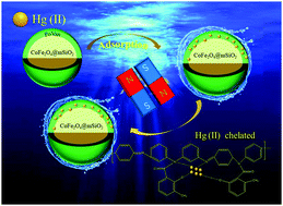 Graphical abstract: Magnetic poly-o-vanillin-functionalized core–shell nanomaterials as a smart sorbent for scavenging mercury(ii) from aqueous solution