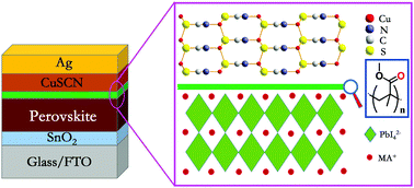 Graphical abstract: Interfacial engineering of CuSCN-based perovskite solar cells via PMMA interlayer toward enhanced efficiency and stability