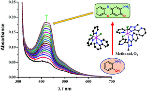 Graphical abstract: High phenoxazinone synthase activity of two mononuclear cis-dichloro cobalt(ii) complexes with a rigid pyridyl scaffold