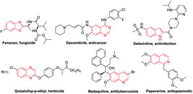 Graphical abstract: A biomass-derived N-doped porous carbon catalyst for the aerobic dehydrogenation of nitrogen heterocycles