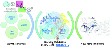 Graphical abstract: In silico studies revealed interaction mechanisms of benzylidene–acrylohydrazide derivatives and nsP2 CHIKV