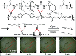 Graphical abstract: Fast self-healing solid polymer electrolyte with high ionic conductivity for lithium metal batteries