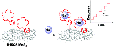 Graphical abstract: An ion-selective crown ether covalently grafted onto chemically exfoliated MoS2 as a biological fluid sensor