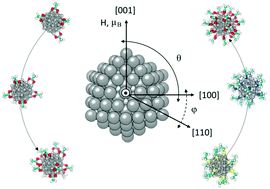 Graphical abstract: Effect of coverage on the magnetic properties of –COOH, –SH, and –NH2 ligand-protected cobalt nanoparticles