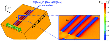 Graphical abstract: Comment on “Ultralow magnetostrictive flexible ferromagnetic nanowires” by G. Muscas, P. E. Jönsson, I. G. Serrano, Ö. Vallin, and M. V. Kamalakar, Nanoscale, 2021, 13, 6043–6052